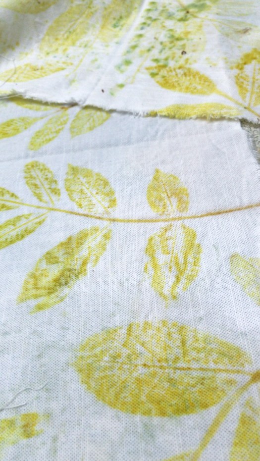 BACC159A-24FB-4F07-8697-77880407E554